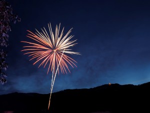 Firework erupting in the night sky