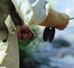 Fishing in Snowy Mountains